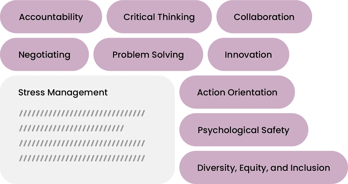 A selection of the 80+ DecisionWise competencies